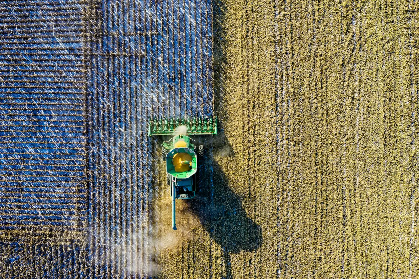Fazenda em área rural consolidada do Cerrado / Amazônia Legal — Programa de Regularização Ambiental e suspensão de multa do IBAMA