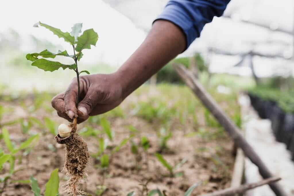 Produtor rural com CAR pendente na SEMA-MT — análise demorada e mandado de segurança